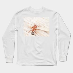 Tiny red-black ant, probably Formica aserva Long Sleeve T-Shirt